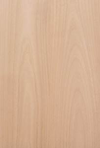 Body Blank, Erle (Alder)