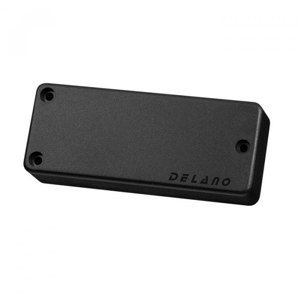 Delano SBC HE/S 4-String