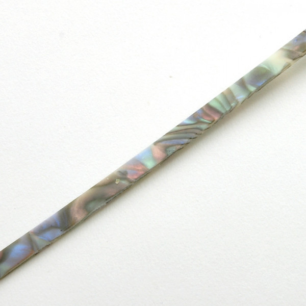 Binding, Abalone