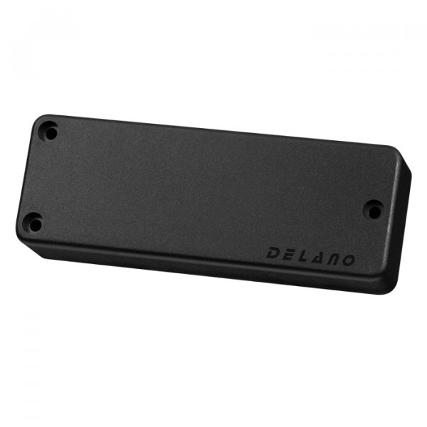 Delano SBC HE/S 5-String